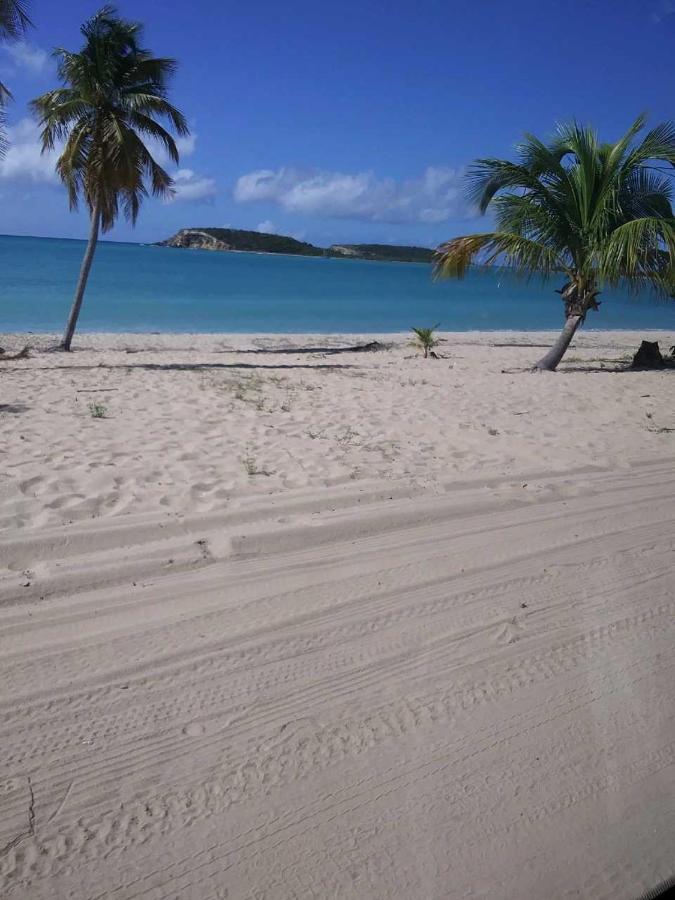 Crab Island Adventures Apartments Vieques Exterior foto